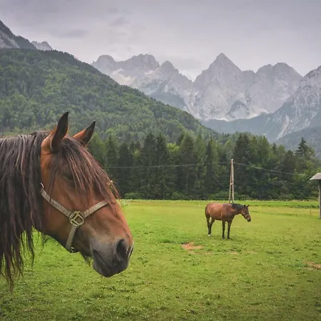 Apartment Klass 210 Kranjska Gora